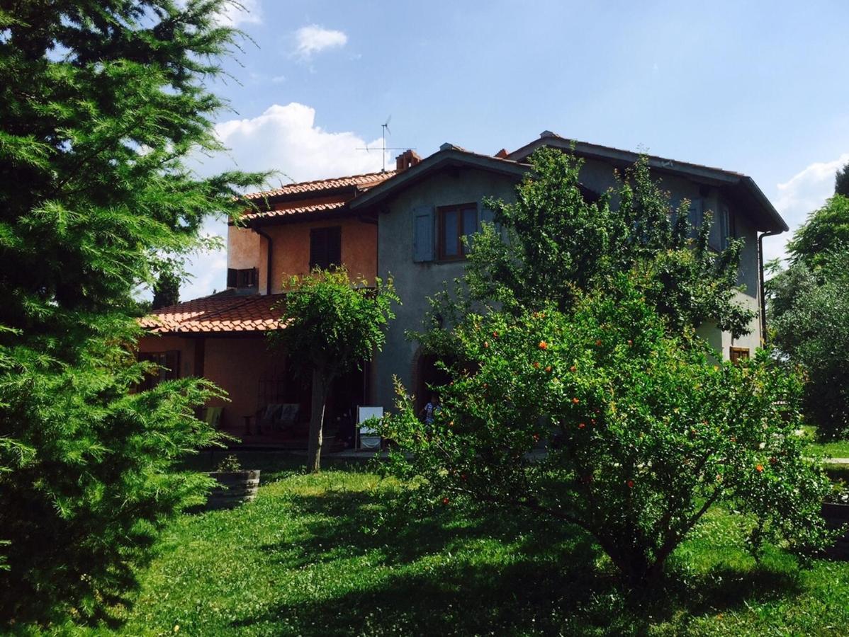 Rosso Del Chianti Panzano in Chianti