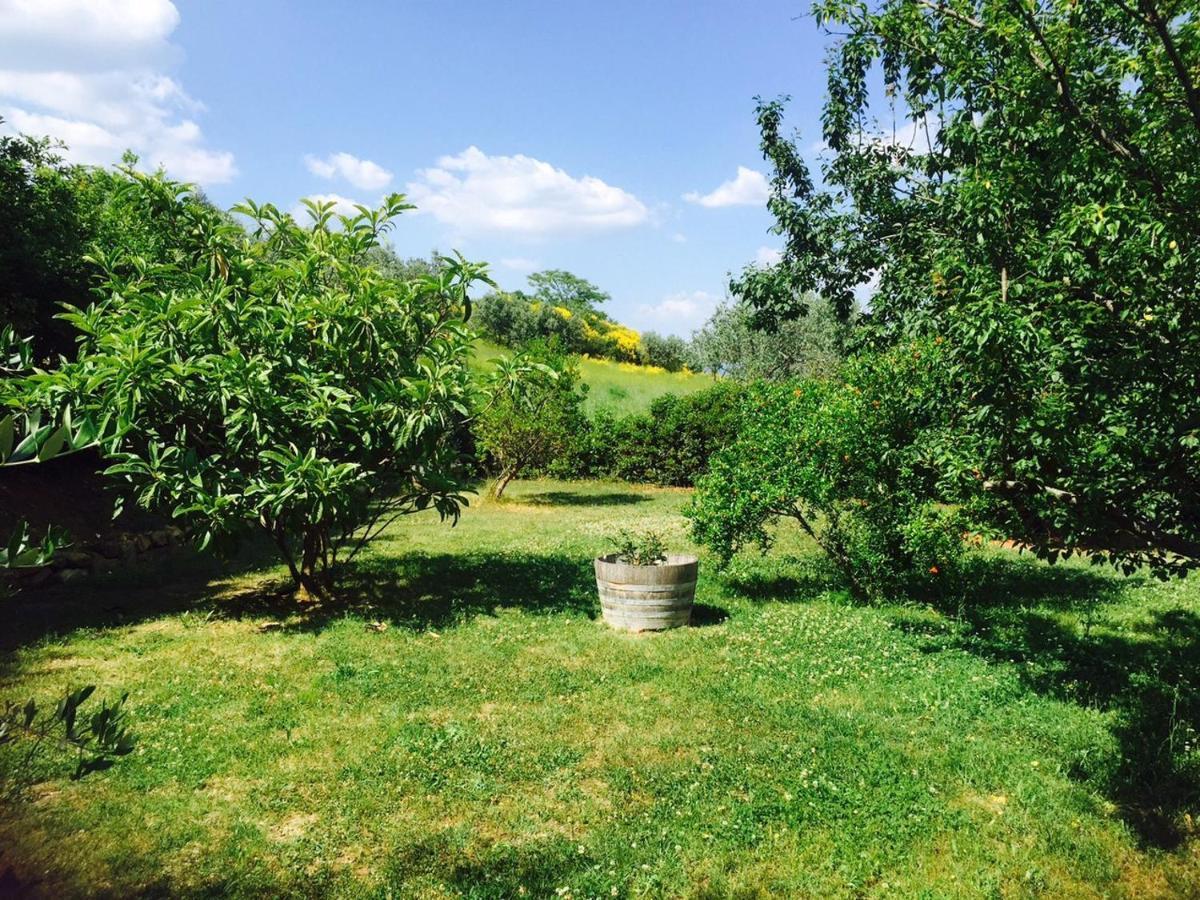 Rosso Del Chianti Bed & Breakfast
