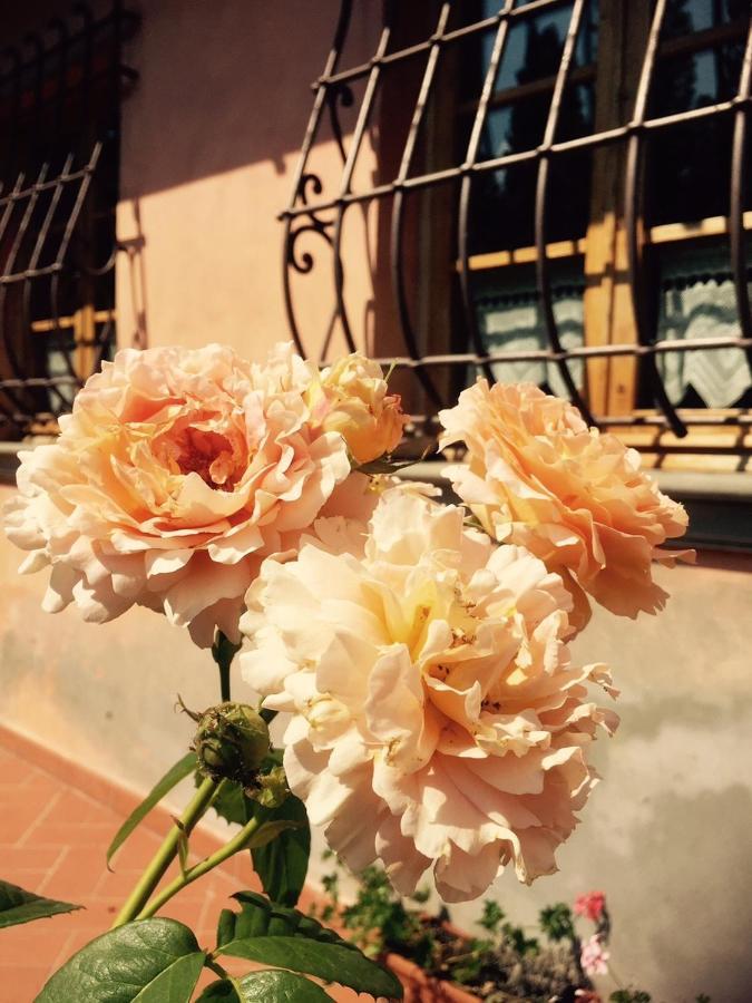 Rosso Del Chianti Bed & Breakfast Panzano in Chianti