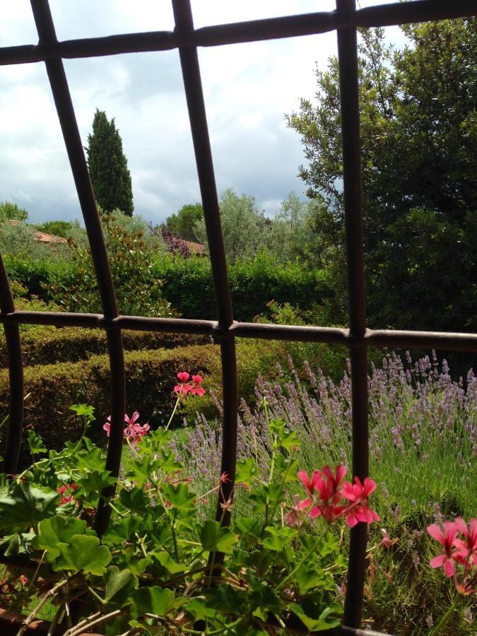 Bed & Breakfast Rosso Del Chianti *