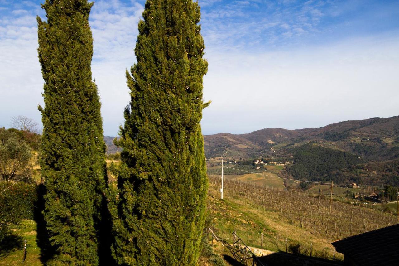 Rosso Del Chianti * Panzano in Chianti